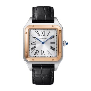 cartier w2sa0017 santos dumont silver dial – luxury watches usa