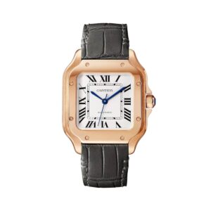 cartier wgsa0028 santos de cartier opaline dial medium – luxury...
