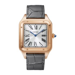 cartier wgsa0032 santos dumont silver dial extra large – luxury...