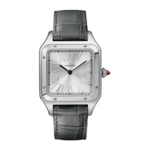 cartier wgsa0034 santos dumont silver dial – luxury watches usa