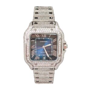 cartier wssa0030 santos de cartier large blue dial aftermarket...